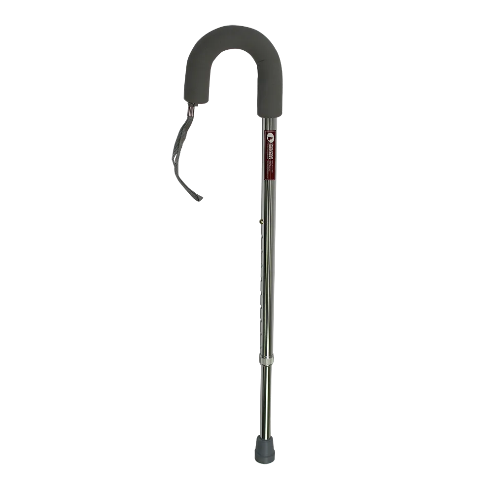 Crook Handle Silver Walking Stick