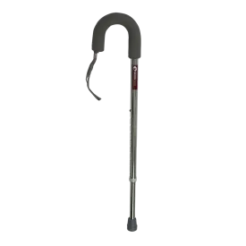 Crook Handle Silver Walking Stick