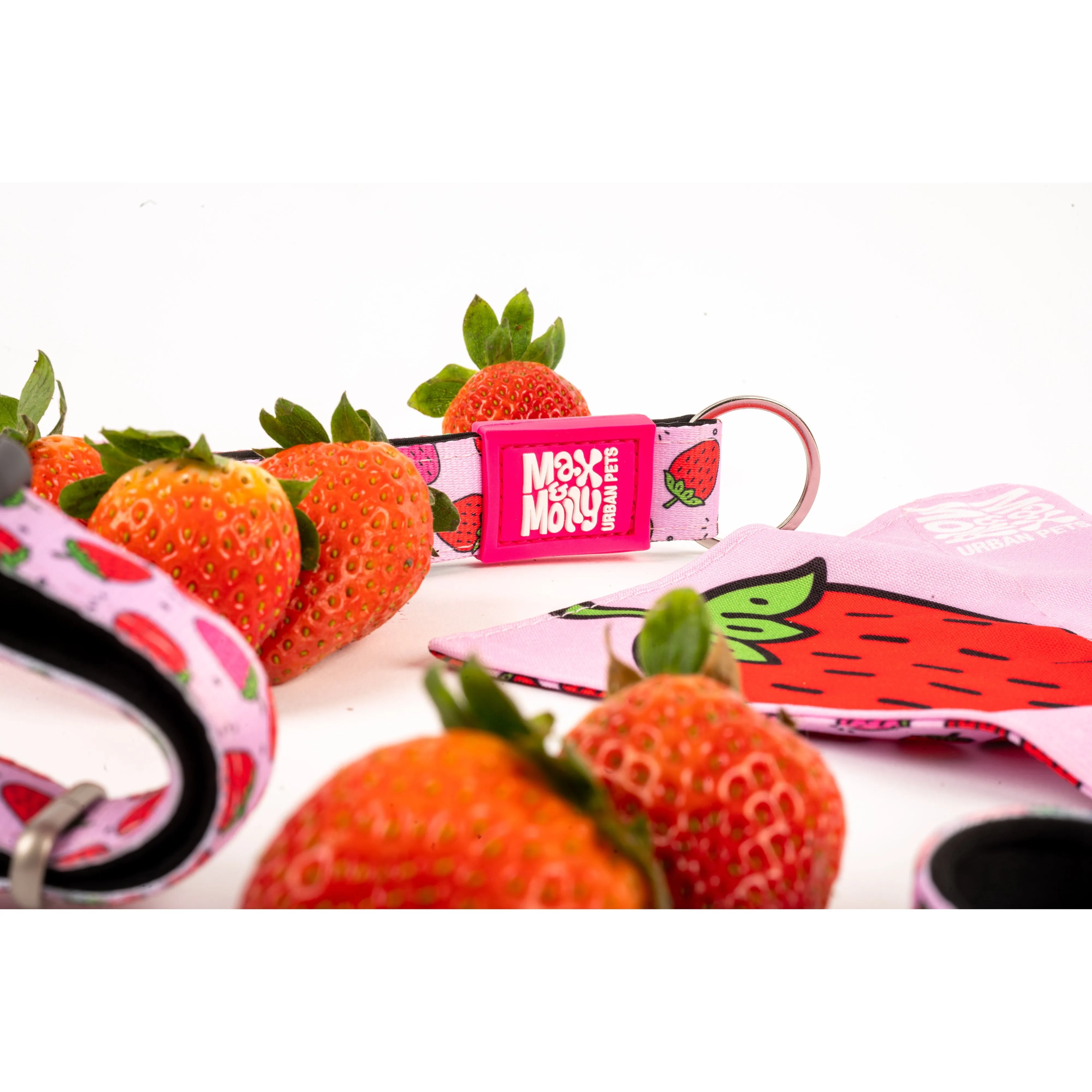 Max & Molly Strawberry Dream Short Dog Lead Small