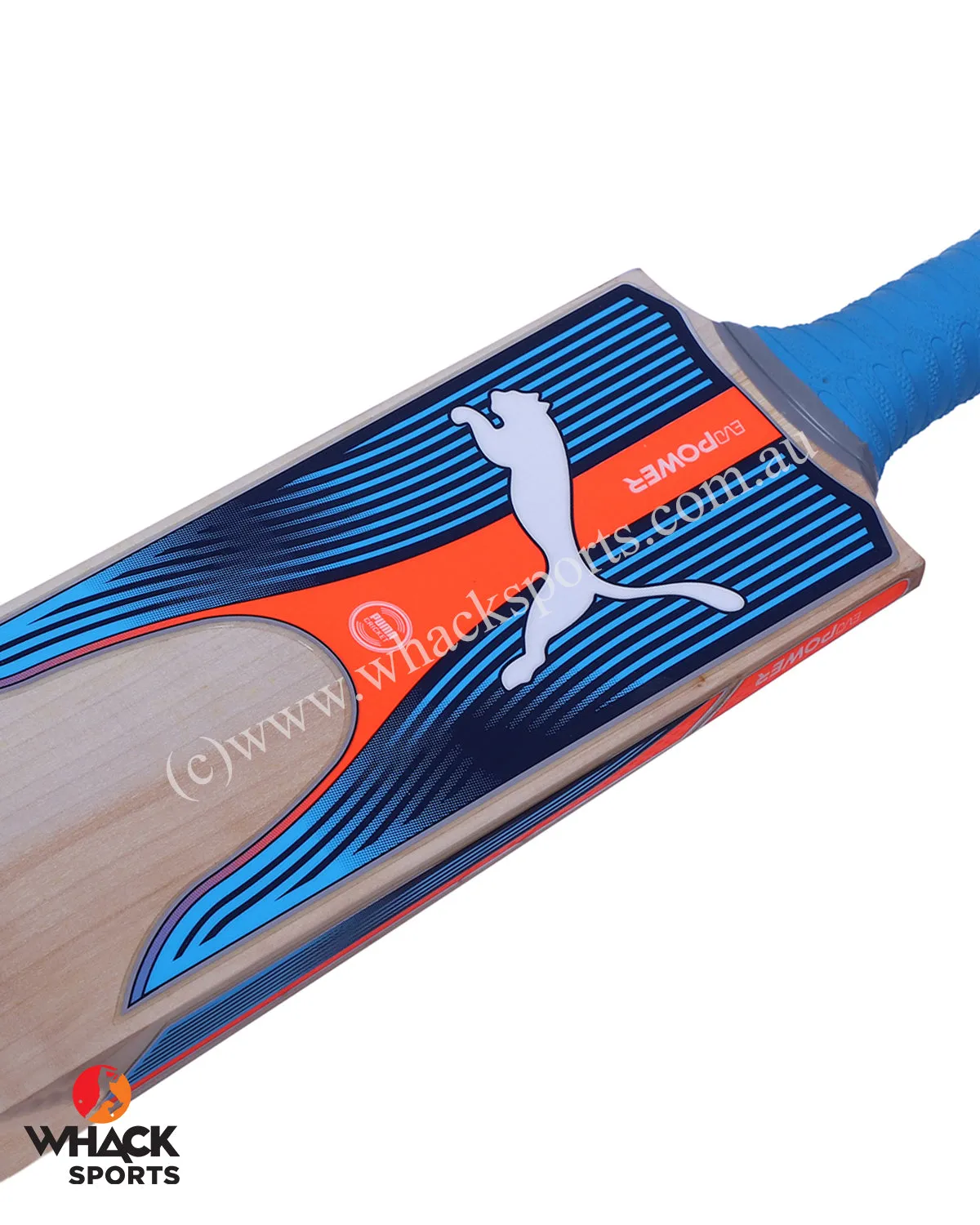 Puma Evo Power 1 English Willow Cricket Bat - Boys/Junior