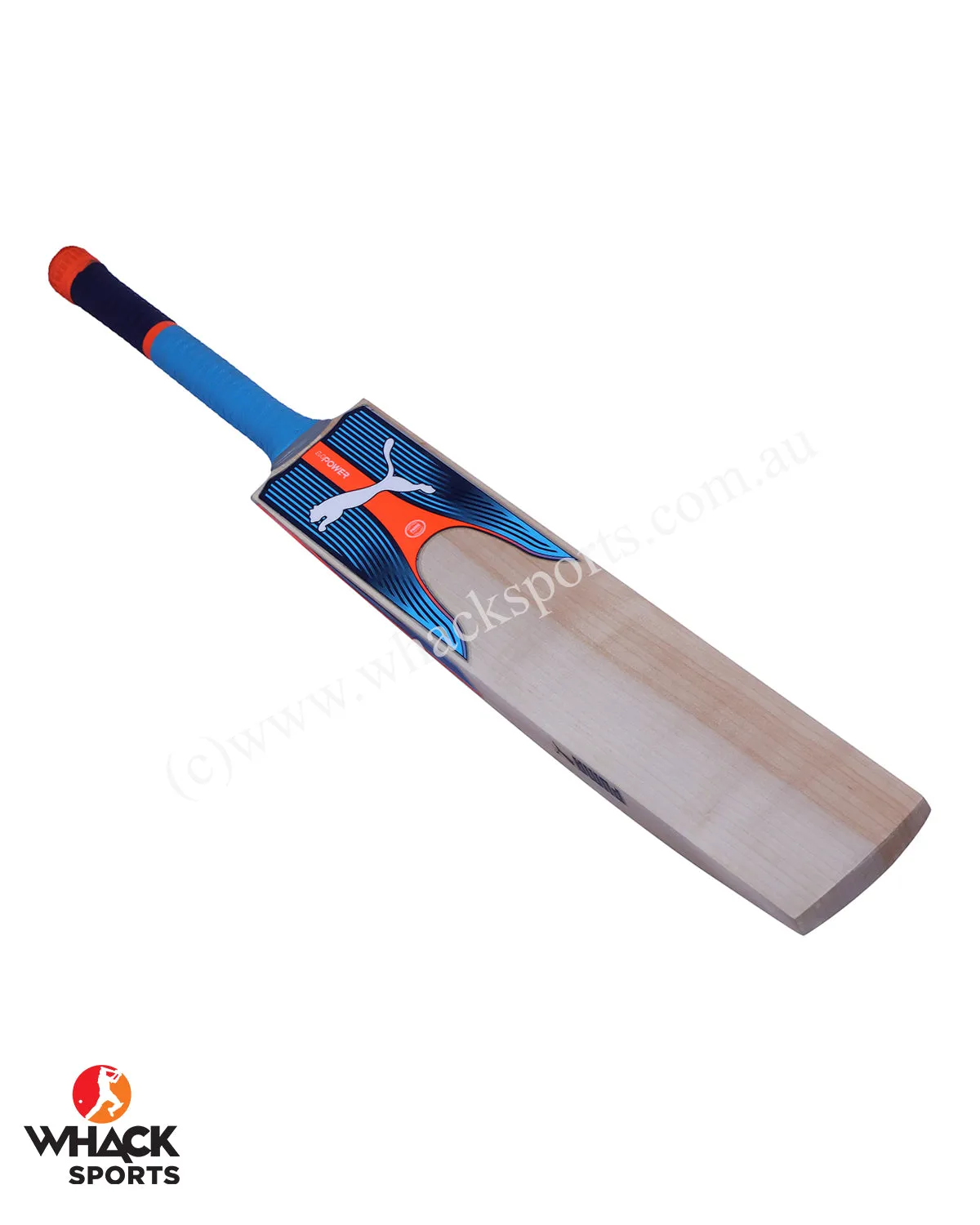 Puma Evo Power 1 English Willow Cricket Bat - Boys/Junior