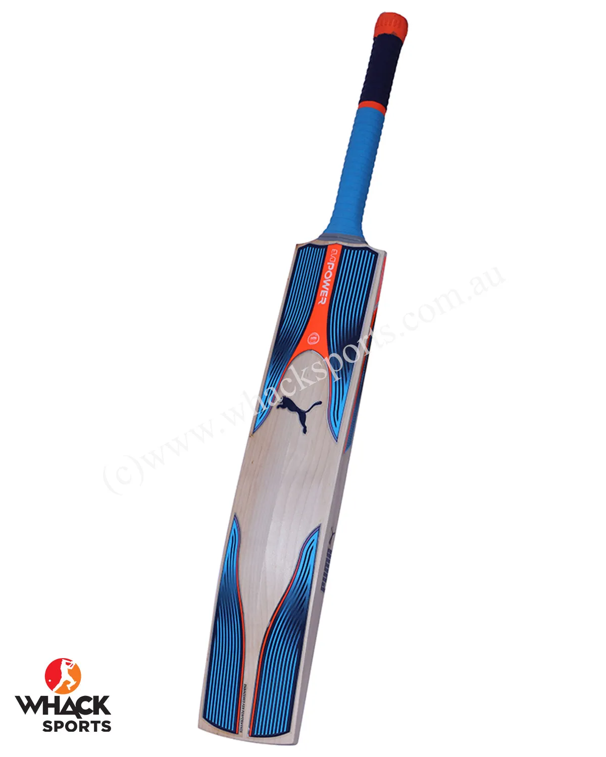 Puma Evo Power 1 English Willow Cricket Bat - Boys/Junior