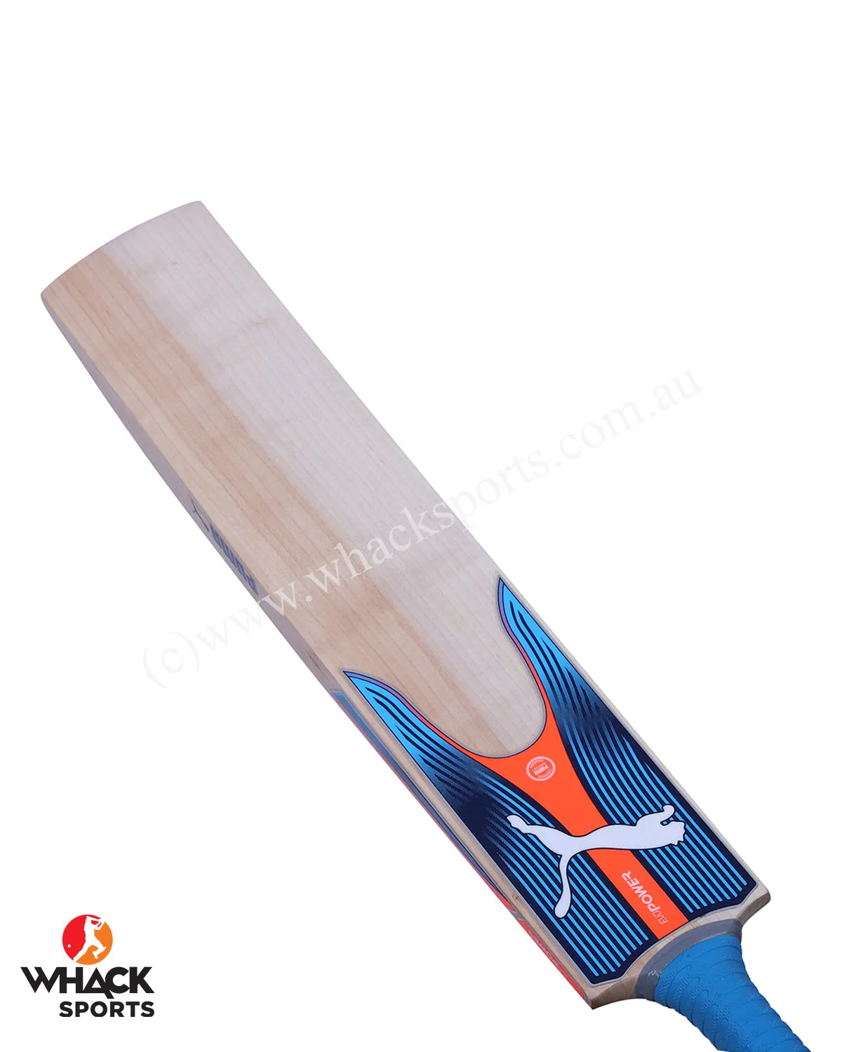 Puma Evo Power 1 English Willow Cricket Bat - Boys/Junior