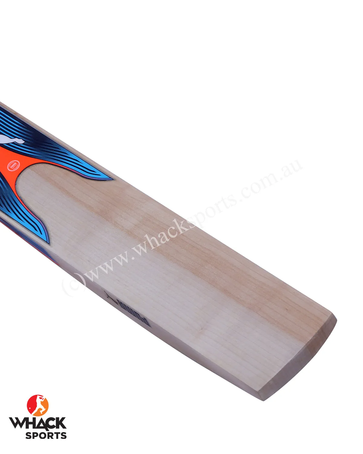 Puma Evo Power 1 English Willow Cricket Bat - Boys/Junior