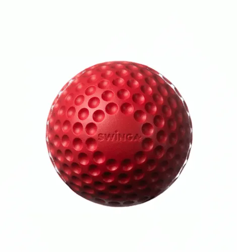 Swinga Technique Ball