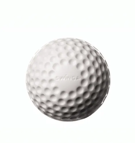 Swinga Technique Ball